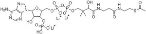 ACETYL COENZYME A TRILITHIUM SALT